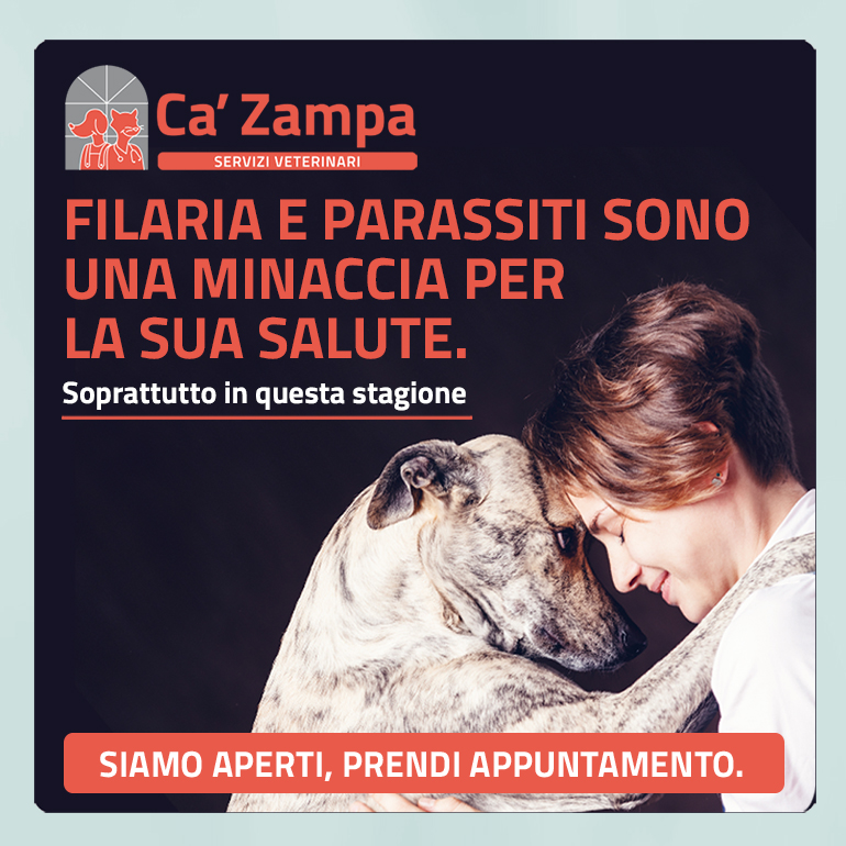 Ha riaperto la clinica Ca’ Zampa